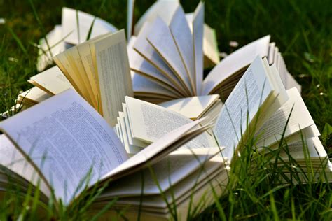 Open Books On Grass Field · Free Stock Photo