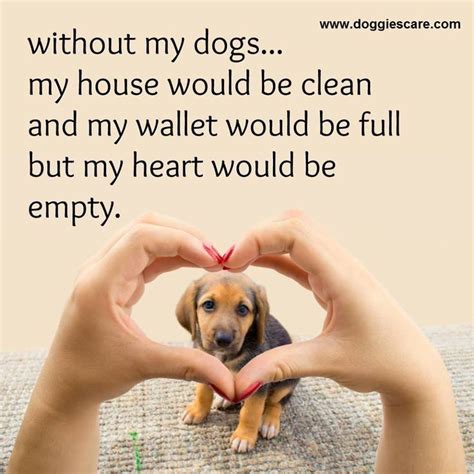 Pin By Mily On I Love My Dog ♥♥ Quotes Animal Lover Quotes Dogs