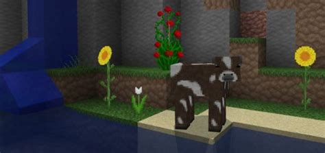 Check spelling or type a new query. Shrek Texture Pack | Minecraft PE Texture Packs
