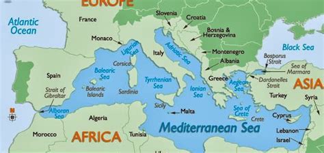 Mediterraneo caratteristiche, flora e fauna - Studia Rapido