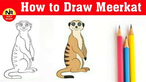Meerkat Drawing Tutorial How To Draw A Meerkat For Kids Drawwithme