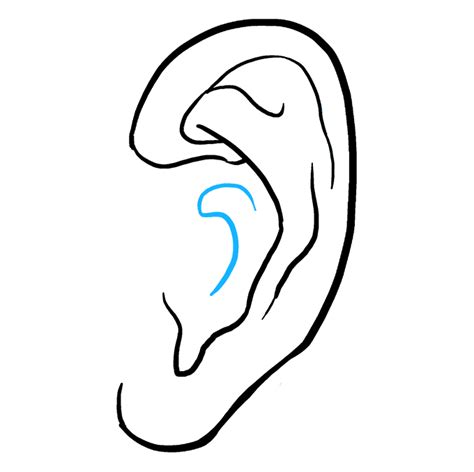 How To Draw An Ear Really Easy Drawing Tutorial 042023