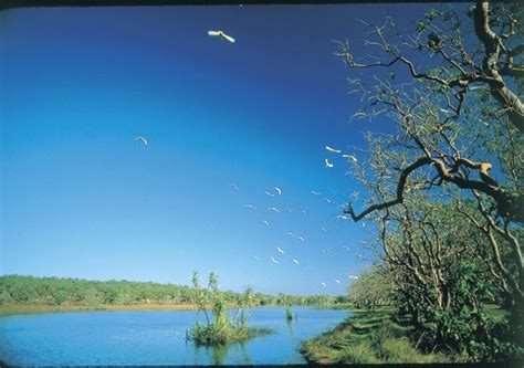 Tip Mary River National Park Aussie Tours