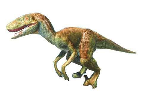 Velociraptor Animal Revolt Battle Simulator Wiki Fandom