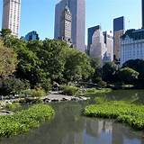 Pictures of Manhattan Hotels Central Park