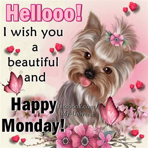 Happy Monday Images Butterflies Dog Flowers Happy Monday Hearts Pink