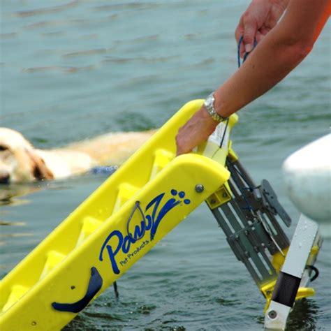 Get the best of the web with zapmeta. Water Safety for Pets - DIYControls Blog