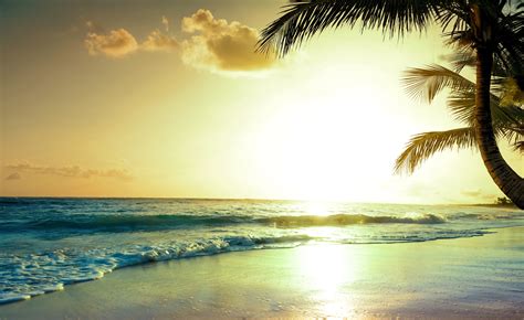 Tropical Beach Sunset K Hd Nature K Wallpapers Images Backgrounds Photos And Pictures