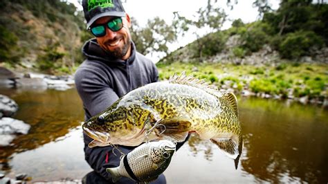 Murray Cod Fishing In The Severn River Pobse