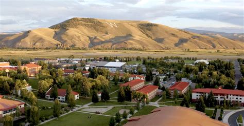 Western Colorado University Athleticademix