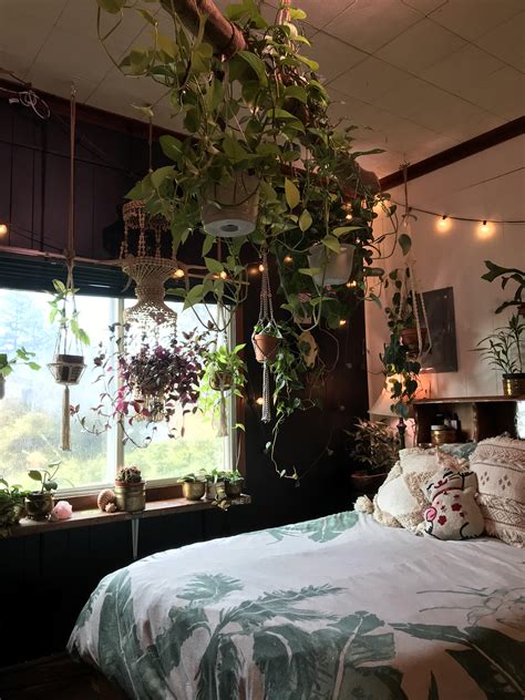 Bedroom Plant Canopy Rhouseplants