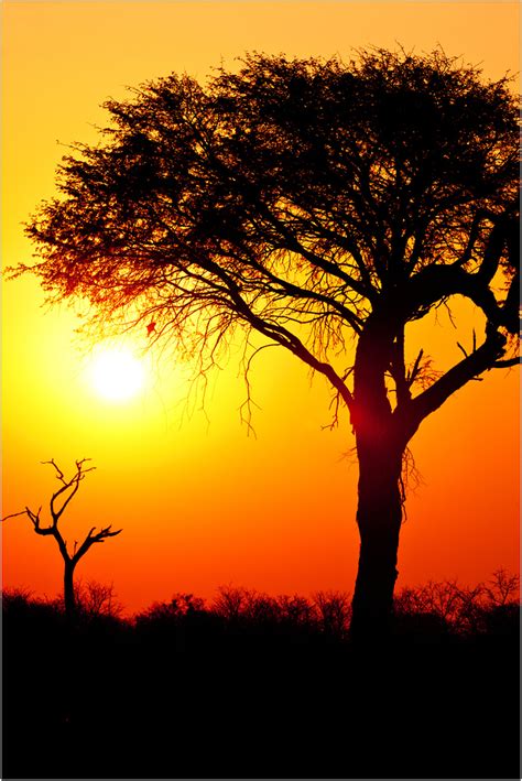 South African Sunset Foto And Bild Africa Southern Africa