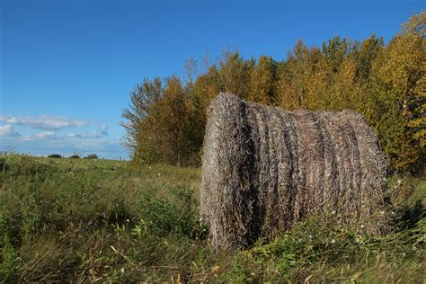 Hay Bale In A Farmers Field Free Stock Photo Public Domain Pictures