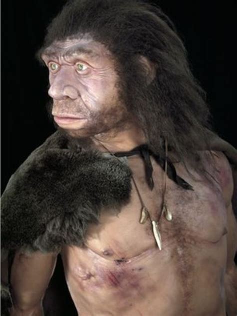 Diabetes Risk Gene From Neanderthals Bbc News