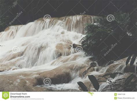 Waterfall In Rainforest Cascade In Forest Stock Image Image Of