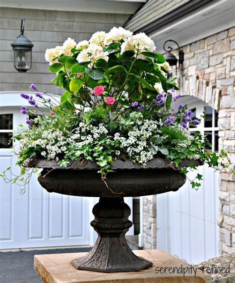 36 Container Garden Recipes For A Stunning Display With Images