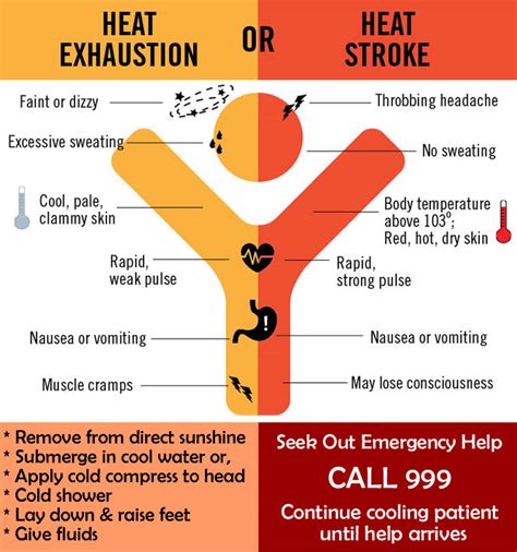 Emergency Preparedness Signs And Treatment Of Heatstroke