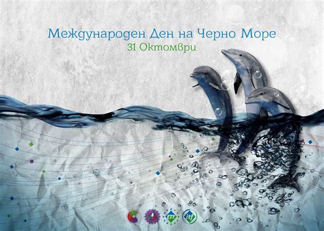 Международен Ден на Черно Море fttub flickr