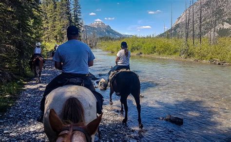 Horseback Riding In Banff Trail Riders Experience Splendid India Tours