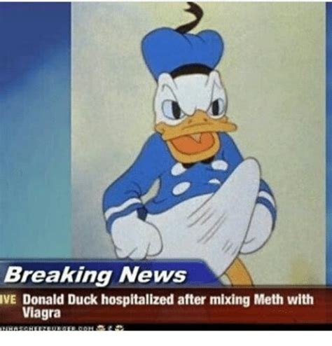 Donald Duck Dank Memes Amino