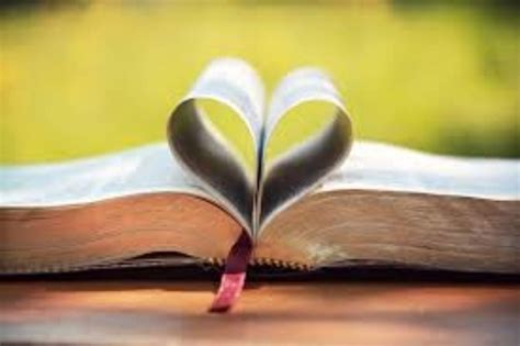 What Is Love According To The Bible — The Gospel Blog