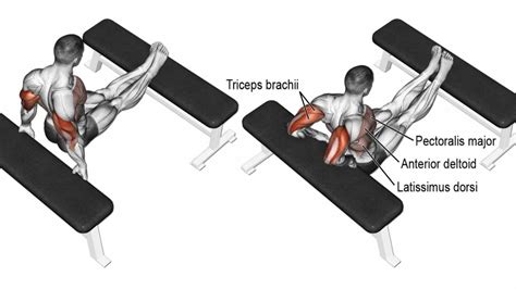 Bench Dips How To Do Muscle Worked And Form