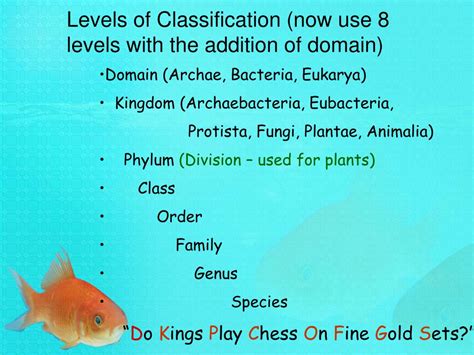 Ppt Classification Powerpoint Presentation Free Download Id3652620