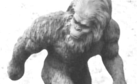 The Mystery Of Bigfoot Spotted On A Traffic Camera In Washington State