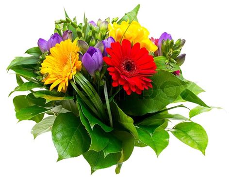 Colorful Flowers Bouquet Isolated On White Background Stock Photo