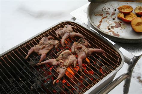 You Have To Cook It Right Grilled Quail With Peaches