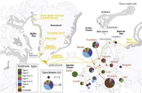 Viking Colonies Collapsed Through Over Hunting Walruses Ancient Origins