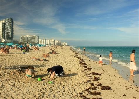 Clima De Miami Según Las Estaciones Turismoeeuu