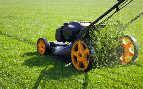 Pro Cut Lawns Lawn Mowing Services Buderim Yellow Pages