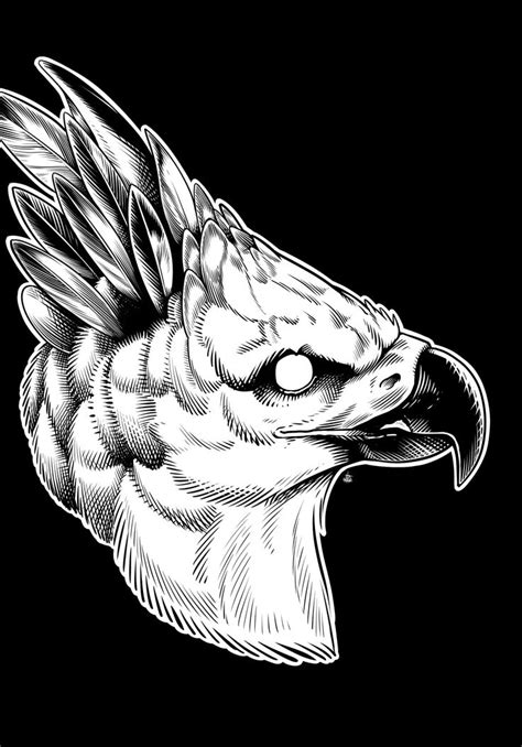 Harpy Eagle By Izma Follow Them On Tumblr