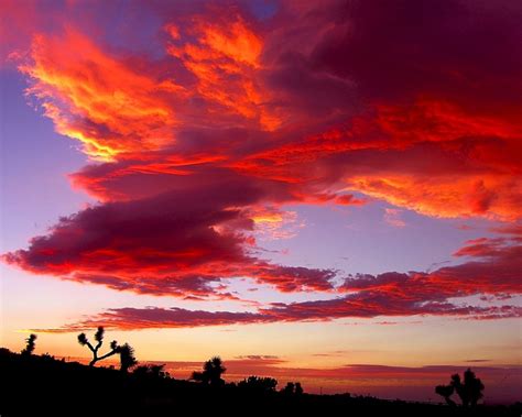 Autumn Orange Desert Sunset | Desert sunset, Sunset pictures, Sky ...