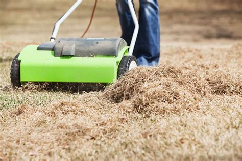 How to dethatch the lawn. Spring: The Best Time to Dethatch a Lawn in 2021 | Lawn care diy, Dethatching, Aerate lawn