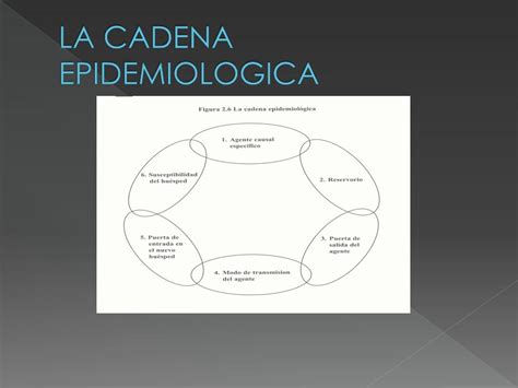 Ppt Cadena Epidemiologica Powerpoint Presentation Free Download Id