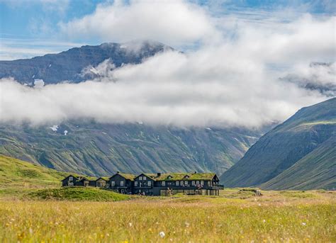 Top 9 Iceland Farms To Visit Or Stay On Vacation
