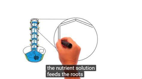 Vertical Aeroponic Technology How Tower Garden Works Youtube