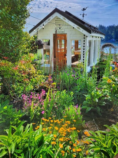 Tour My Charming Late Spring Country Cottage Flower Garden Shiplap