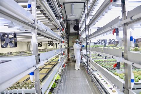 Uae Minister Opens Carrefours Hydroponic Farms In Abu Dhabi