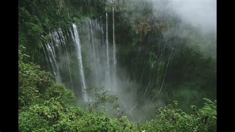 Waterfall Jungle Sounds Relaxing Tropical Rainforest Nature Sound