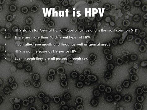 Health Project Hpv And Herpes By Art Pach