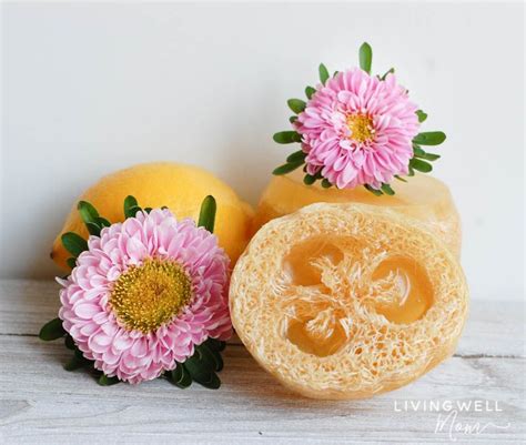 A Loofah Sponge Is A Wonderful Way To Gently And Naturally Exfoliate Skin Did You Know You Can