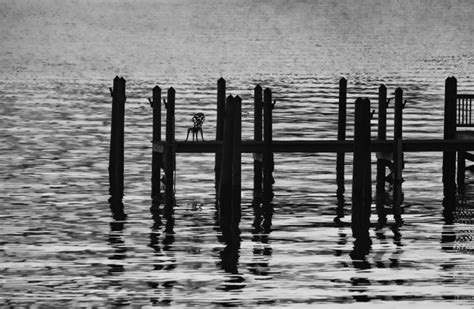 Dock Silhouette By Gloriamatyszyk