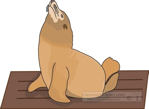Seal Siits On Pier Clipart Classroom Clip Art
