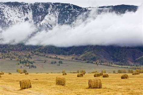 Farmland In The Altai Mountains In East Central Asia Where Russia China