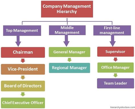 Company Management Hierarchy Hierarchy Leadership Management