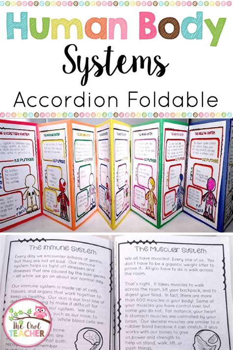 Human Body Systems Activity Foldable Booklet Printable And Digital
