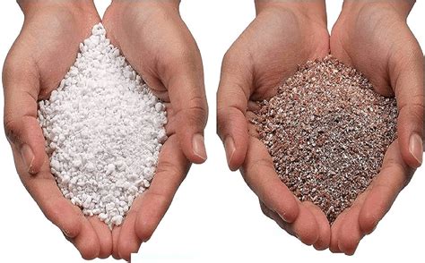 Perlite Vs Vermiculite How And Why To Use Them 2024 Amol Minechem